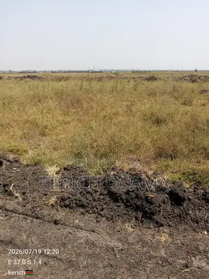 Prime Plots for Sale