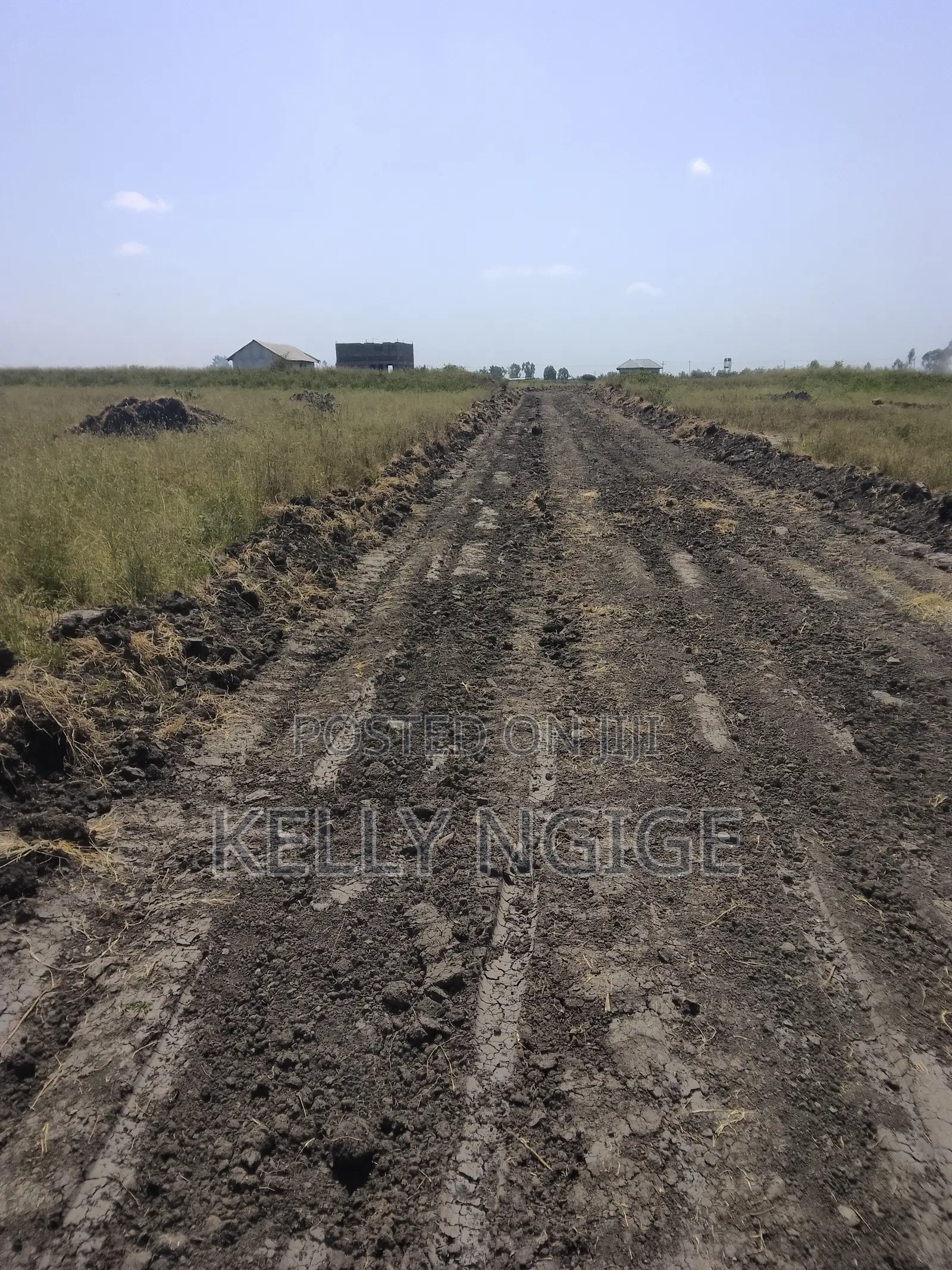 Prime Plots for Sale in Sabaki Mlolongo