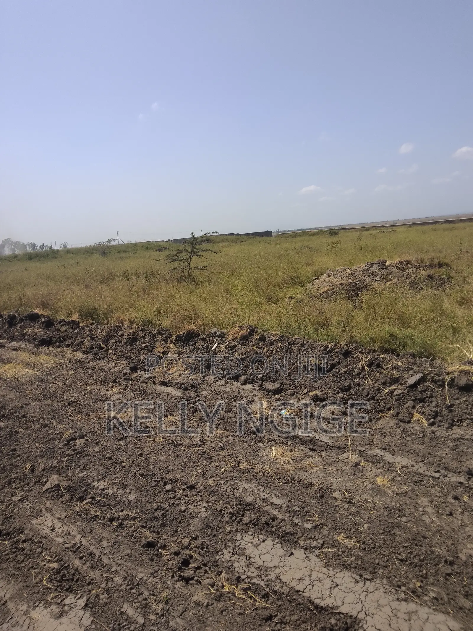 Prime Plots for Sale in Sabaki Mlolongo