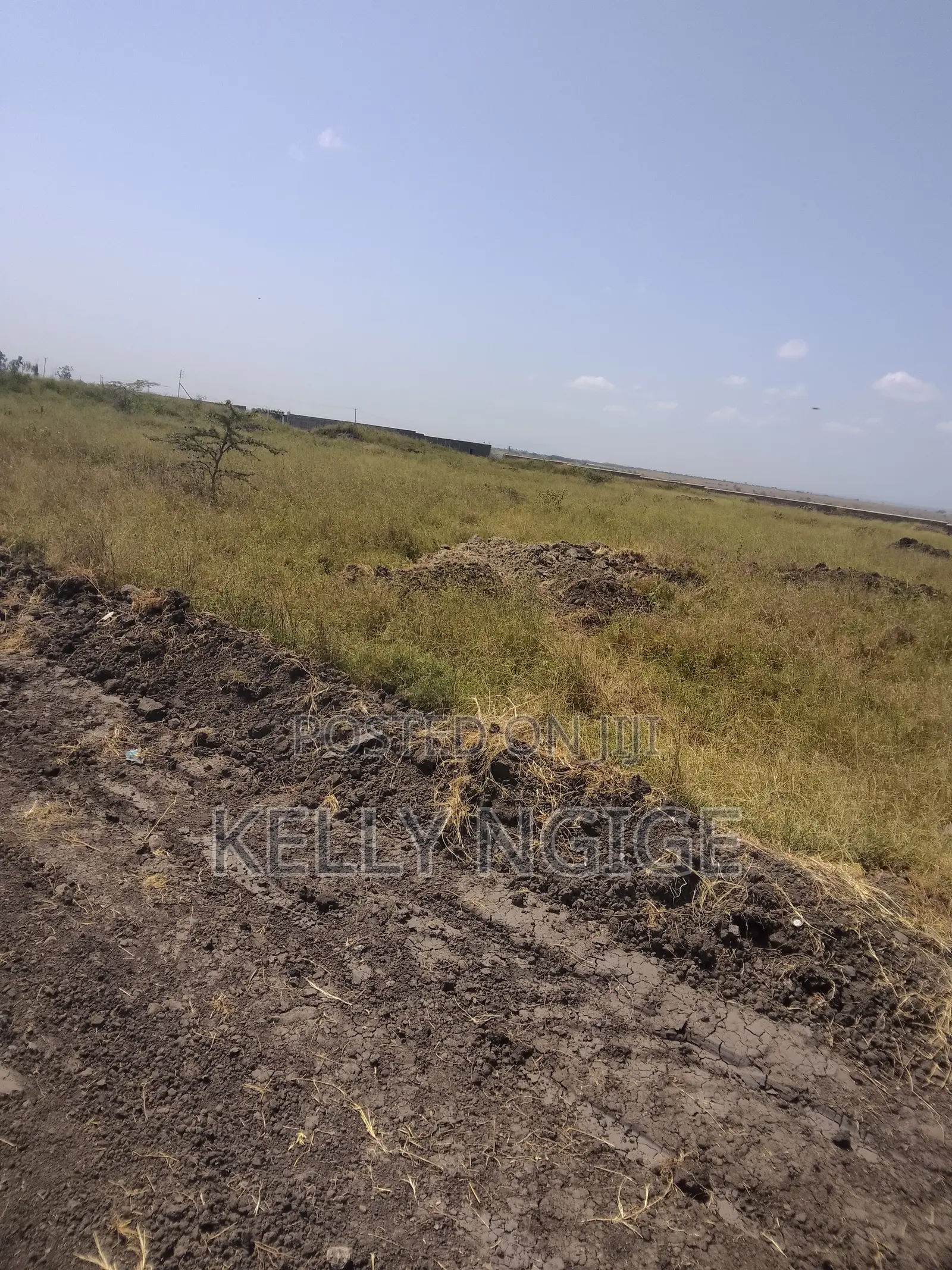 Prime Plots for Sale in Sabaki Mlolongo