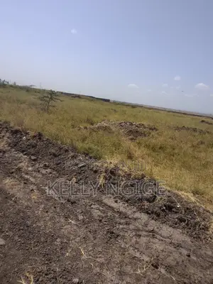 Prime Plots for Sale in Sabaki Mlolongo