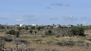 Prime Plots in Isinya