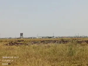 Prime Plots for Sale