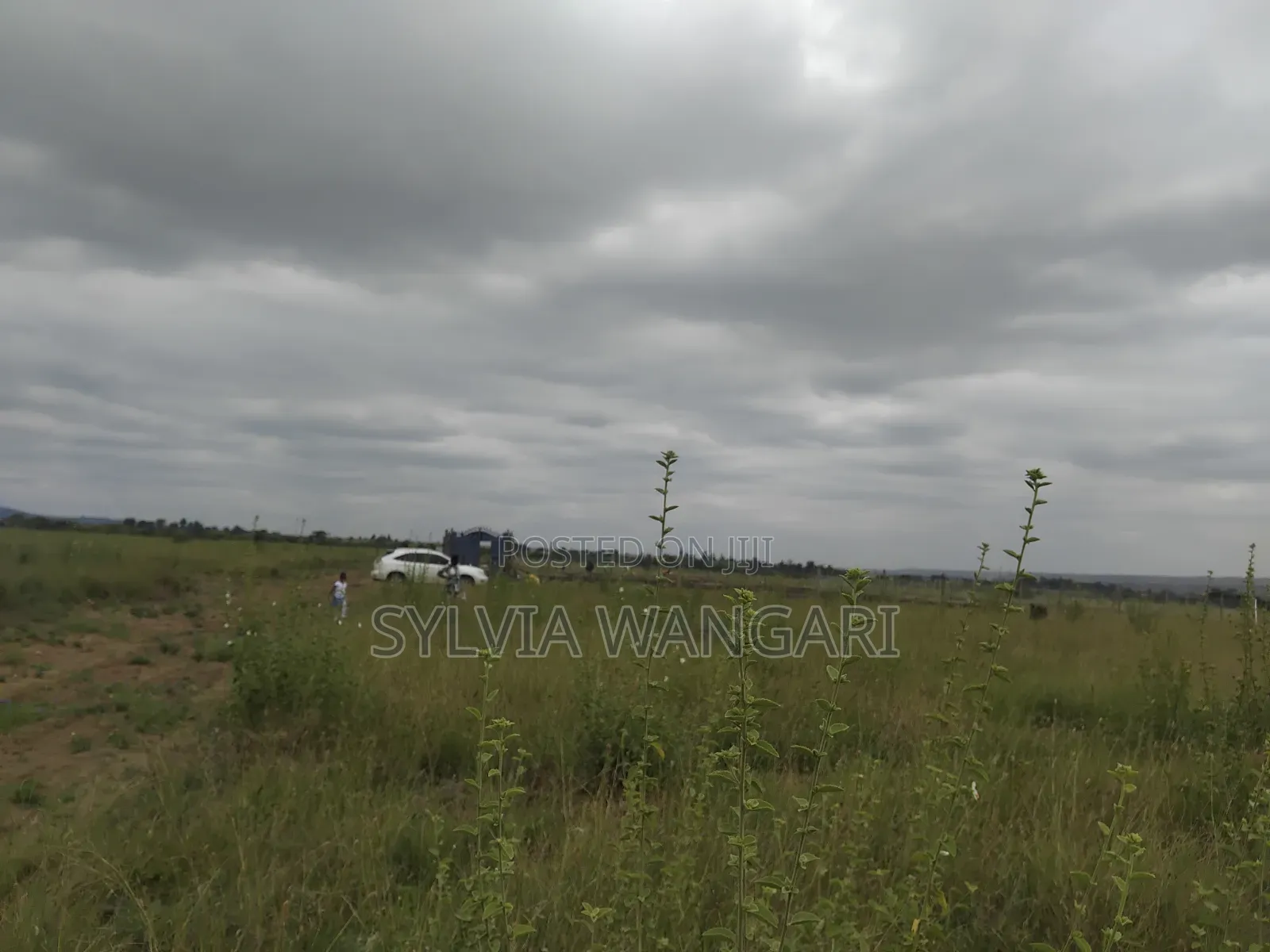 Prime Affordable Plots for Sale in Lukenya