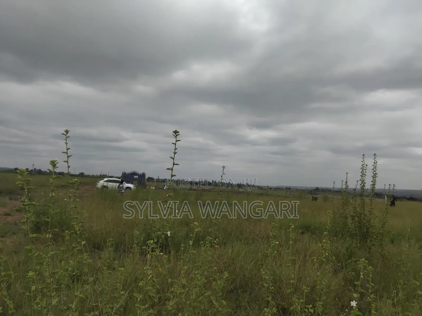 Prime Affordable Plots for Sale in Lukenya