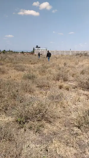 Prime Plots in Kitengela