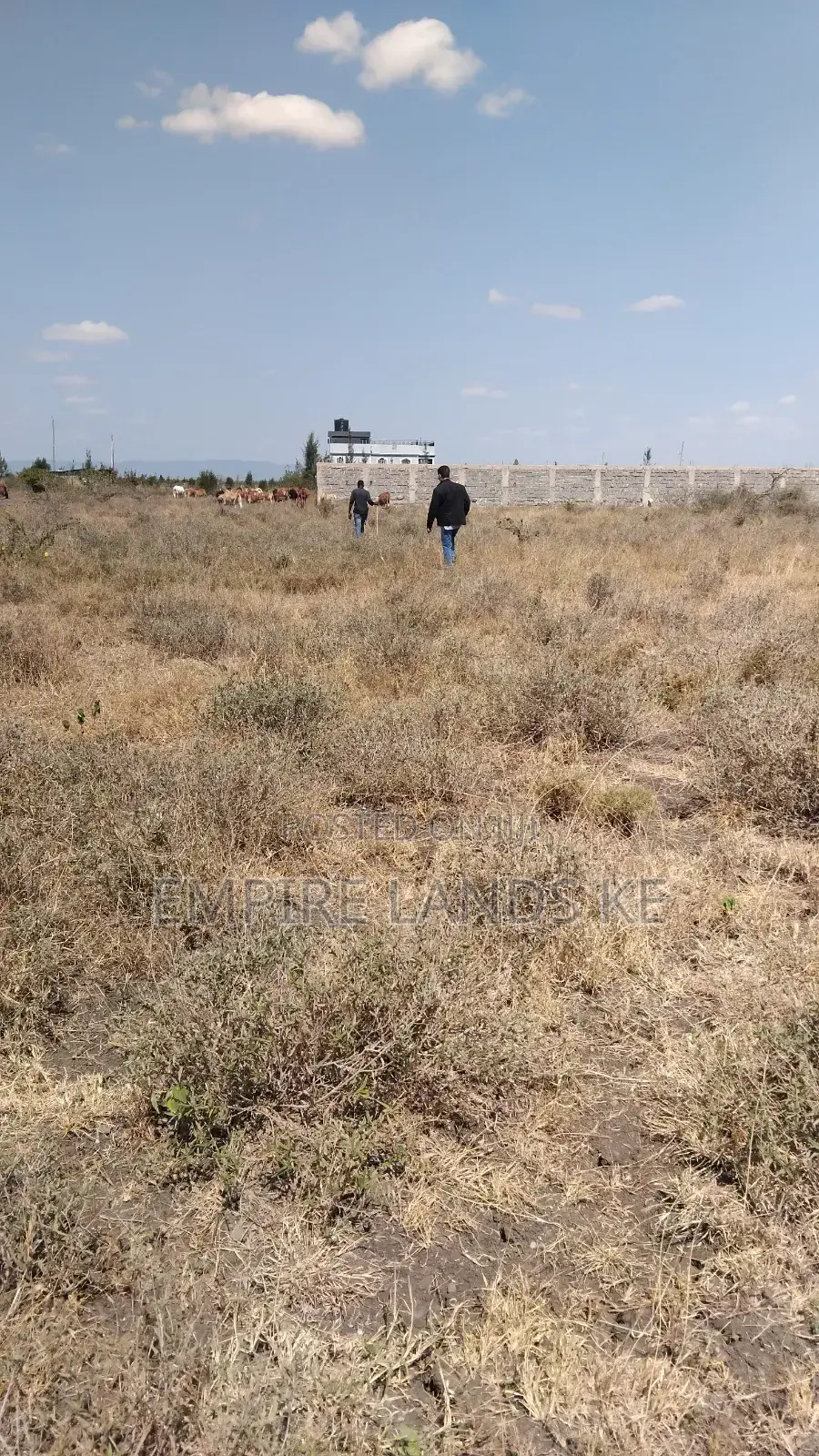 Prime Plots in Kitengela