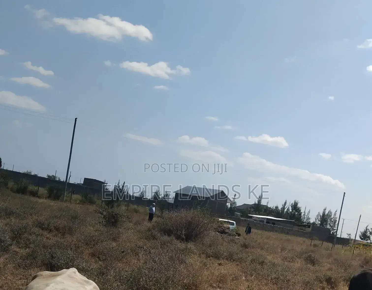 Prime Plots in Kitengela