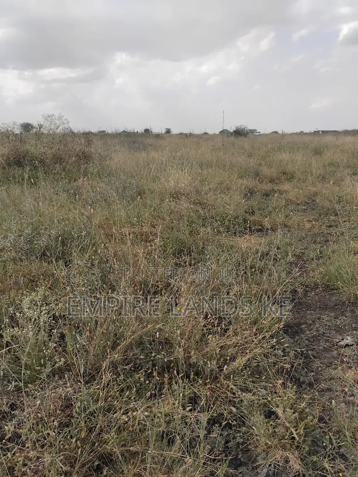 Prime Plots in Kitengela