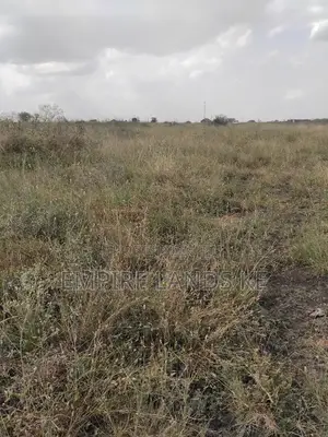 Prime Plots in Kitengela