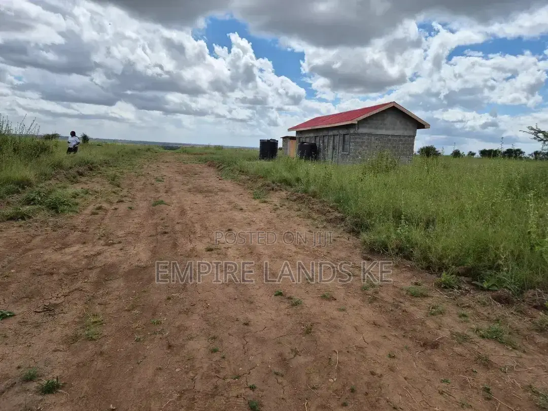 Prime Plots in Kitengela
