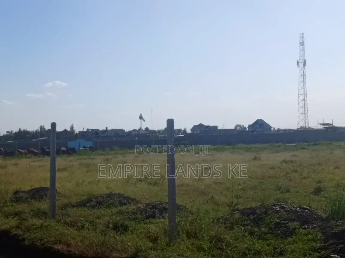 Prime Plots in Kitengela