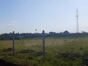Prime Plots in Kitengela
