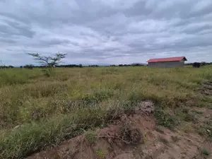 Prime Plots in Kitengela