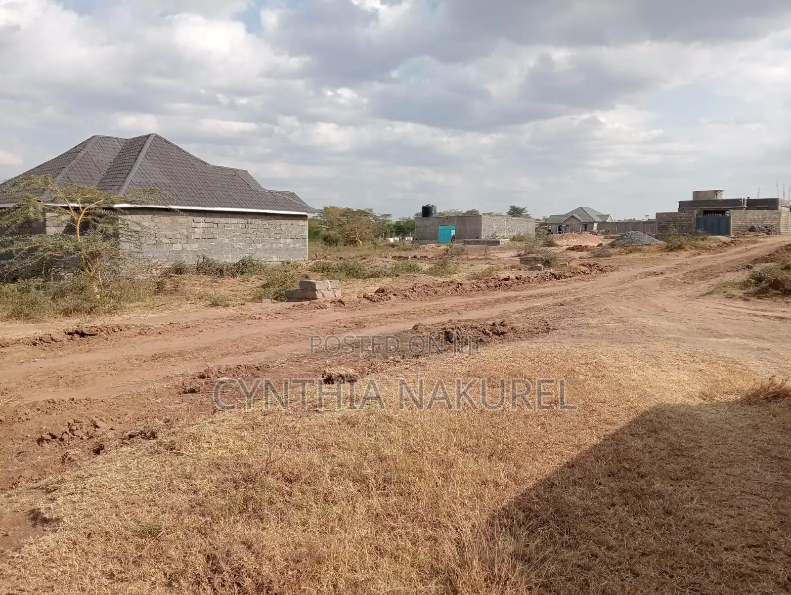 Prime Plots in Kitengela