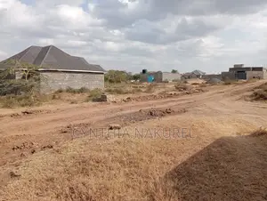 Prime Plots in Kitengela