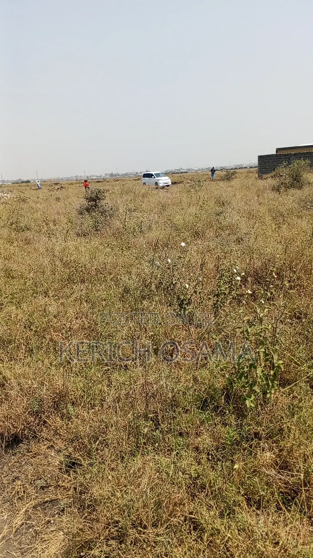 Prime Plots for Sale
