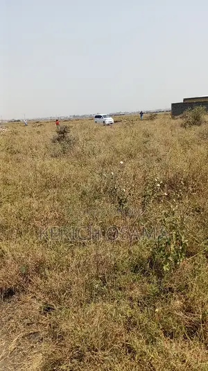 Prime Plots for Sale
