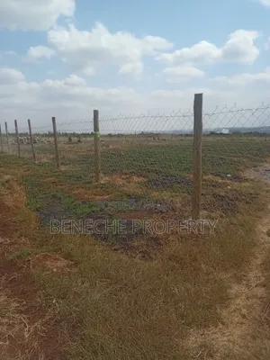Affordable Plots for Sell