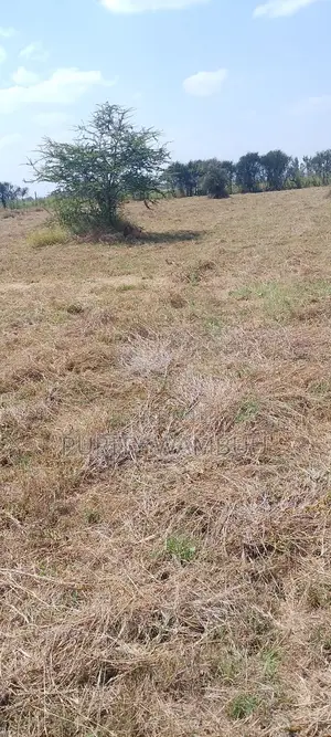Affordable Plots at Joska