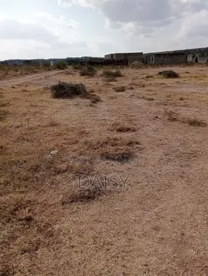 Prime Plots in Happyland ( Mlolongo)