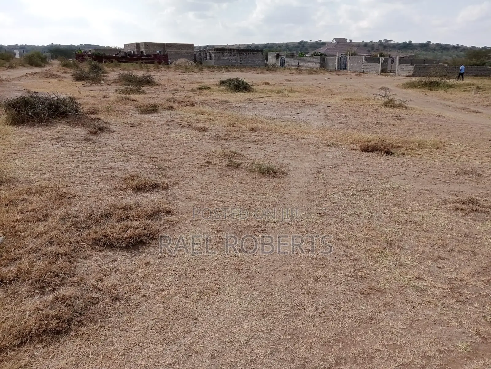 Prime Plots in Kitengela