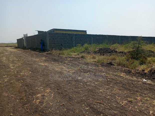 Prime Plots for Sale