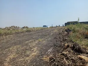 Prime Plots for Sale in Sabaki