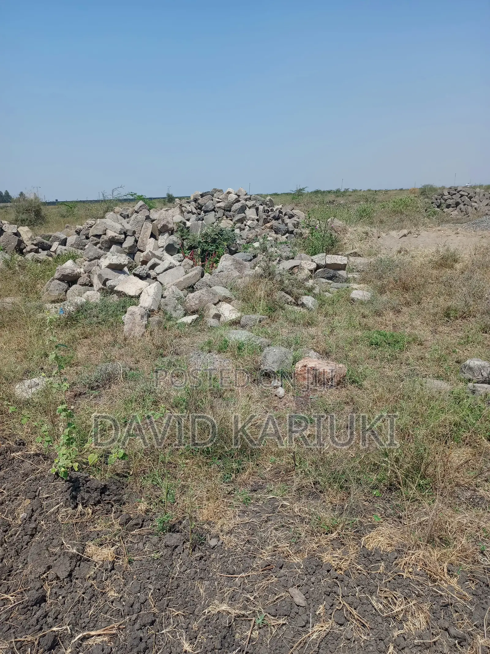 Prime Plots for Sale in Sabaki