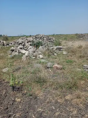 Prime Plots for Sale in Sabaki