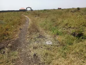 Prime Plots for Sale in Sabaki