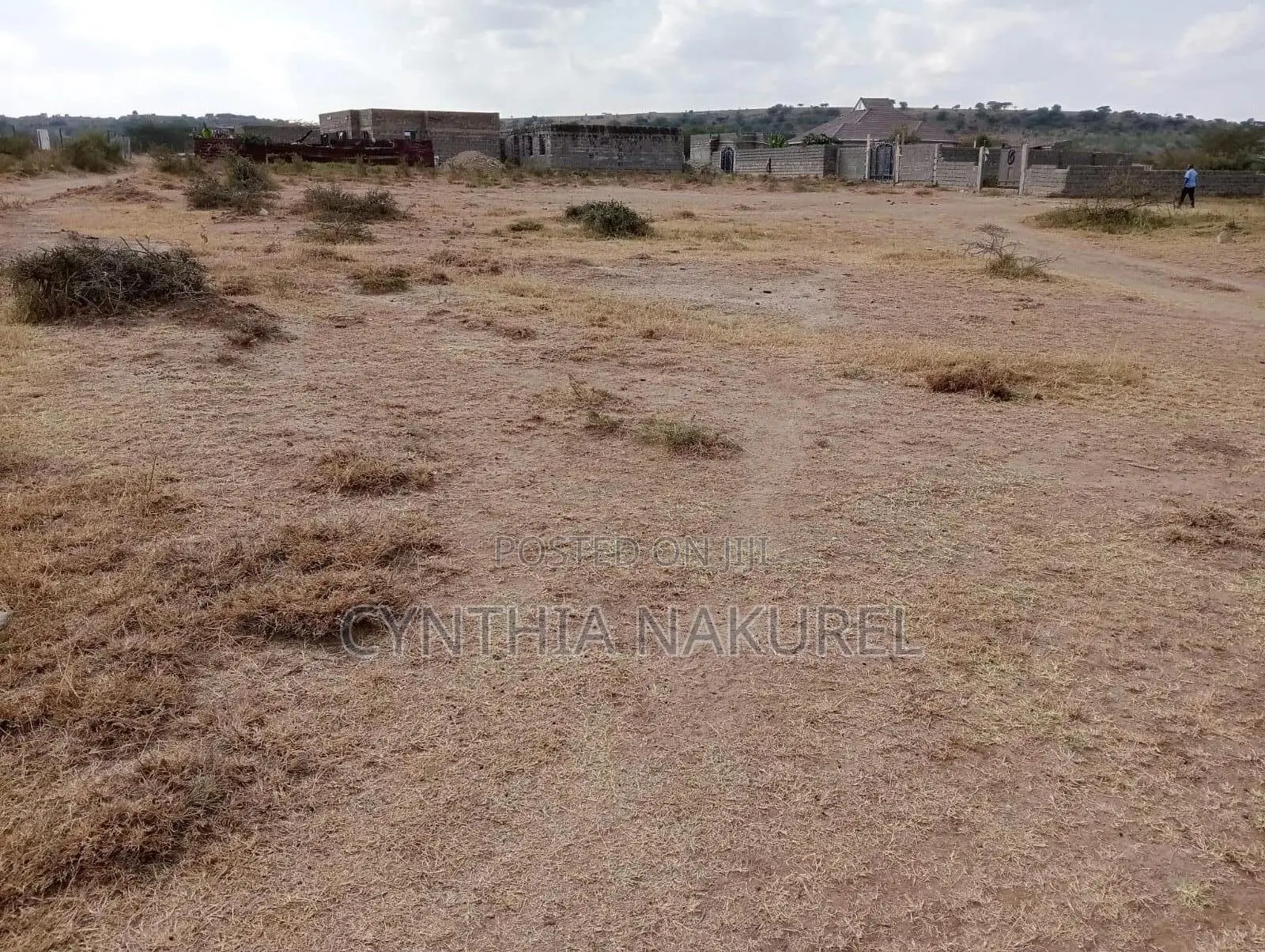 Prime Plots in Kitengela