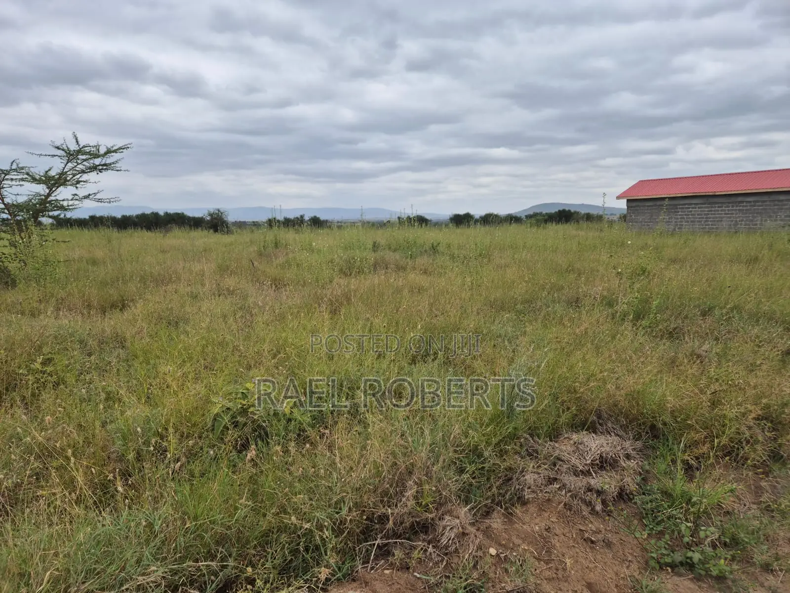Prime Plots in Kitengela