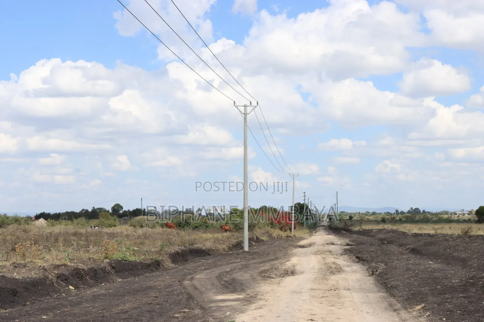 Affordable Plots for Sale in Lukenya