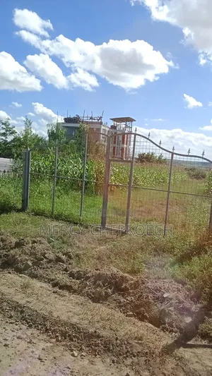Affordable Plots in Lukenya Joska Phase 2