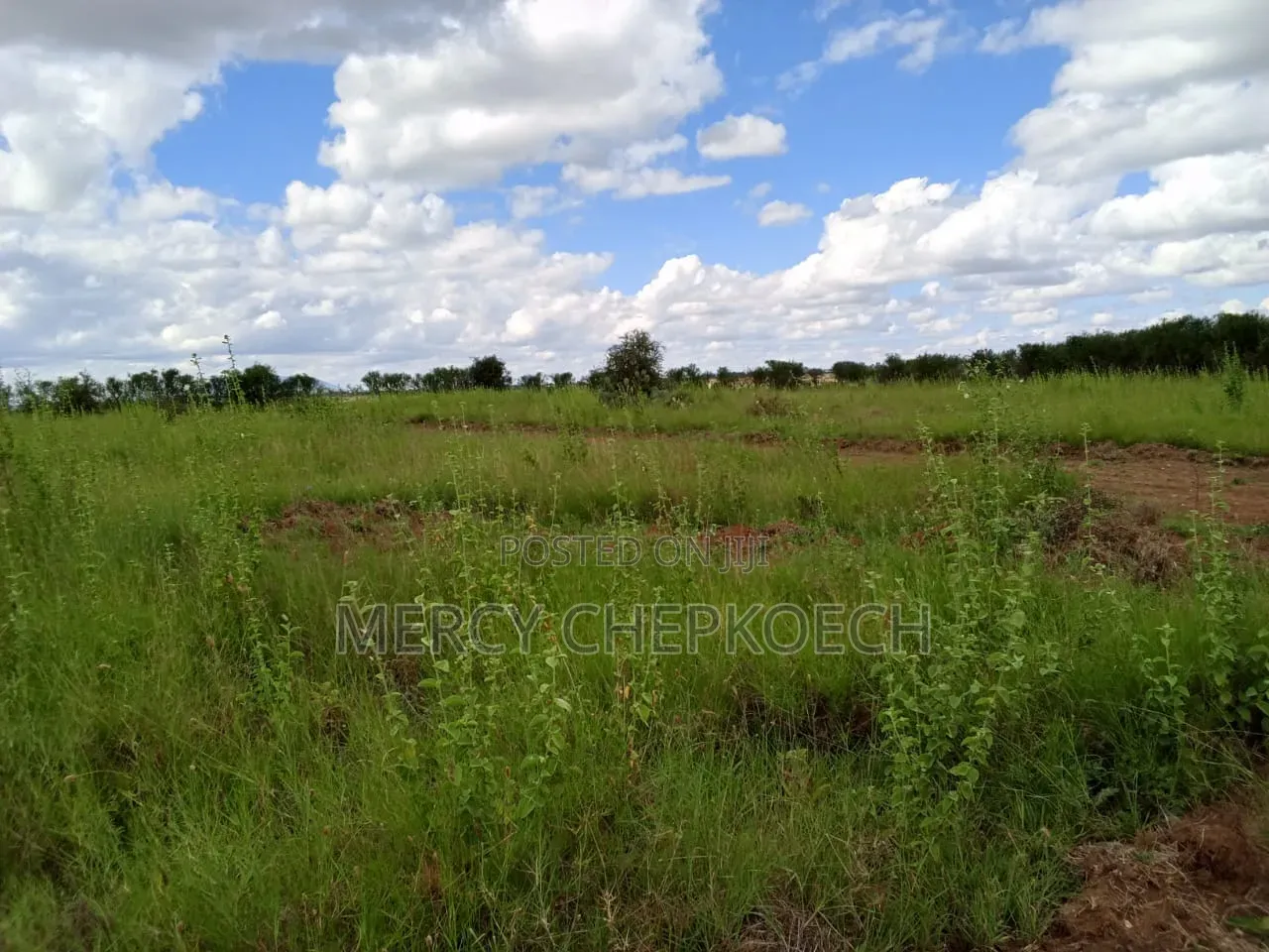 Affordable Plots in Lukenya Joska Phase 2