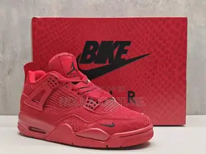 New Jordan 4 Bike Sneakers