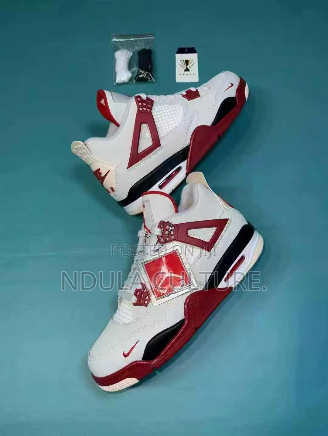 New Jordan 4 Bike Sneakers