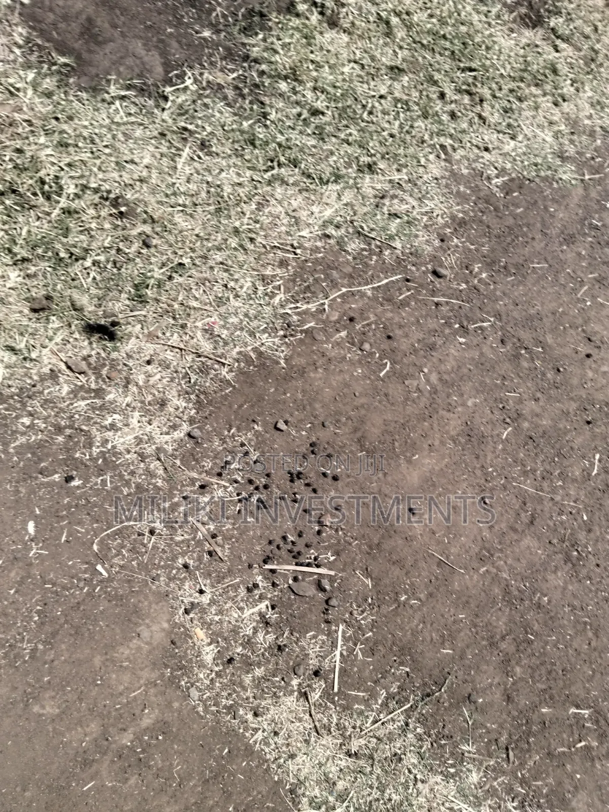 50 by 100 Ft Plot on Sale at Mwiki -Daykio