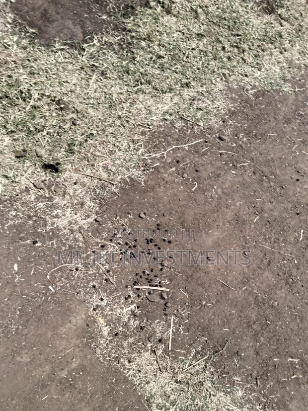 50 by 100 Ft Plot on Sale at Mwiki -Daykio - thumbnail 4