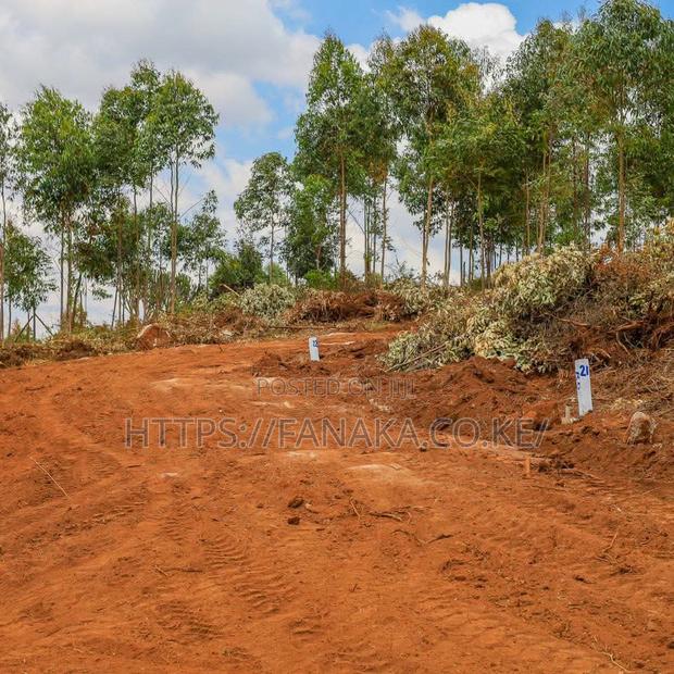 50 by 100 Plots in Kikuyu ^MW - thumbnail 3