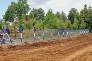 50 by 100 Plots in Kikuyu ^MW