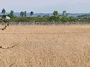 9 Acreas Nanyuki Burgret