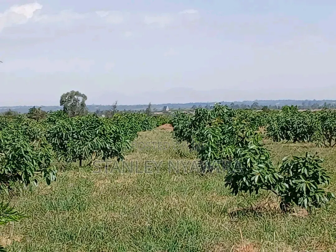 9 Acreas Nanyuki Burgret