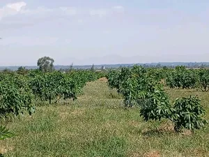 9 Acreas Nanyuki Burgret
