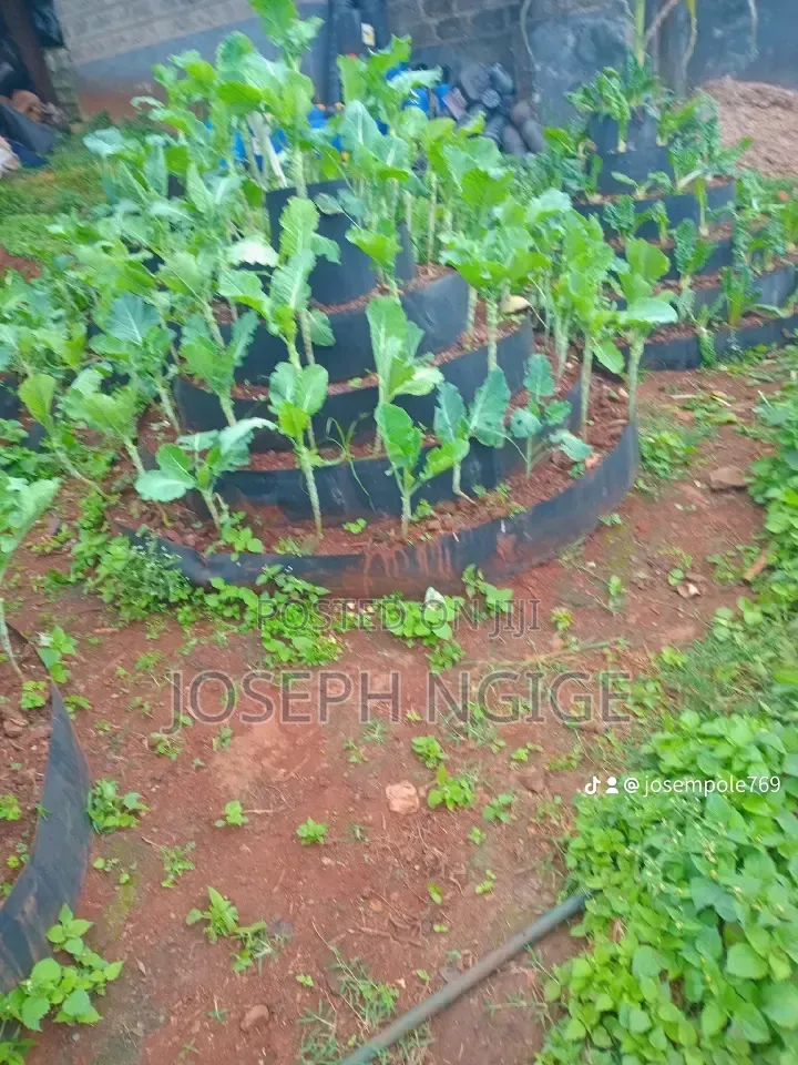 Storey Garden