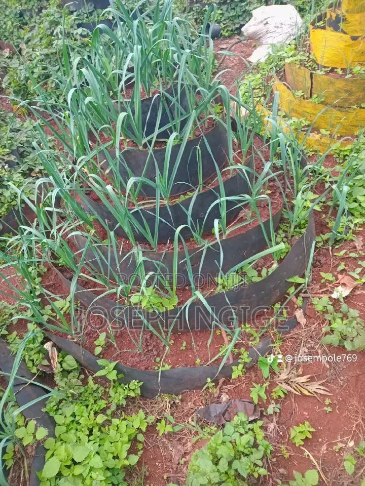 Storey Garden