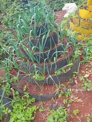 Storey Garden