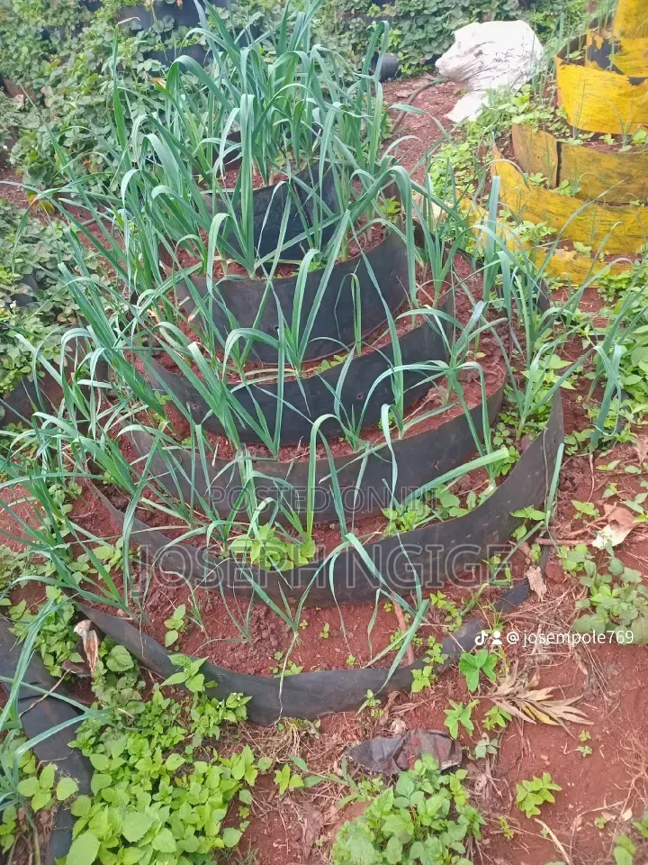 Storey Garden