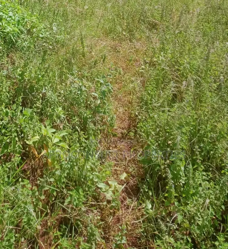 Thome 1 Plot for Sale 0.5 Acres Ksh. 30M